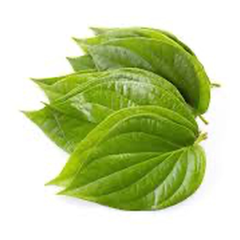 FRISCHE Betel Leaves 1 stück