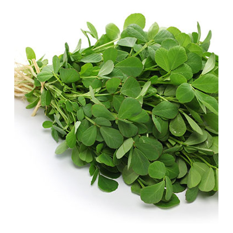 FRISCHE Methi 1 Bund (aus Indien)