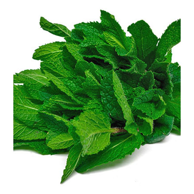FRISCHE Mint 1 Bund (aus Indien)