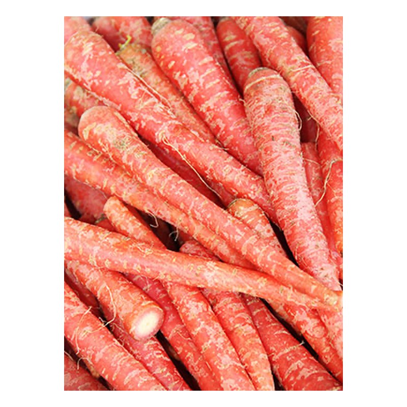 FRISCHE Rote Karotten 1 kg