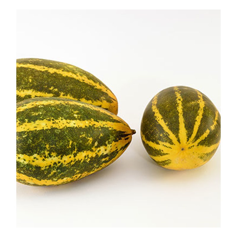 FRISCHE Valerika 1 kg (aus Indien)