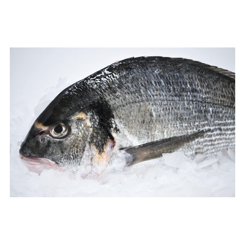 SEA BREAM (Dorade) 400-600 Gr. G&S IQF 1 kg