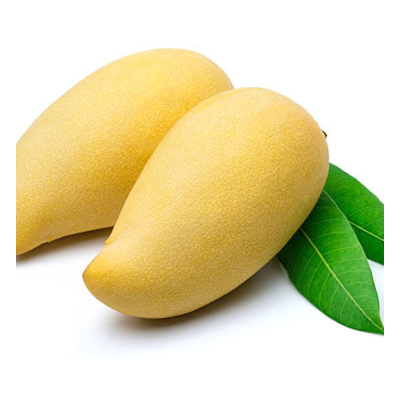 Frische Indian Kesar Mango 1 kg (aus Indien)