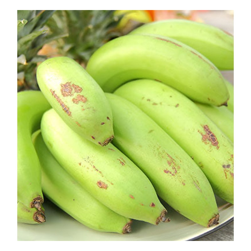 FRISCHE Green Plantain 1 kg (aus Ecuador)