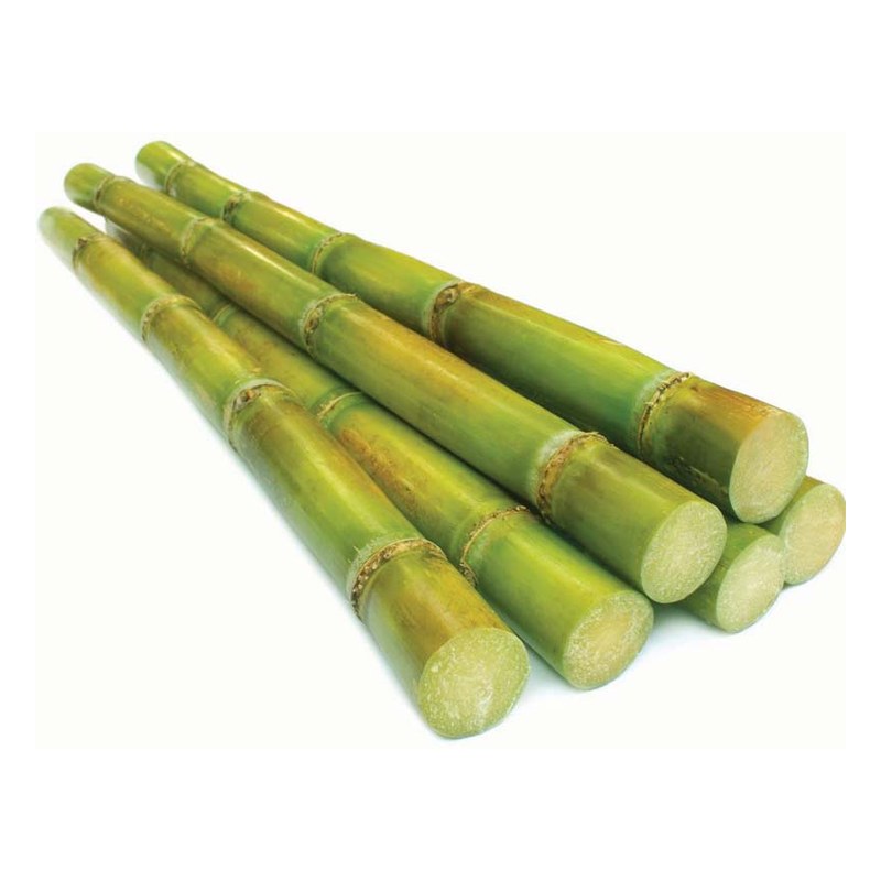 FRISCHE Sugercane 1 kg (aus Uganda)
