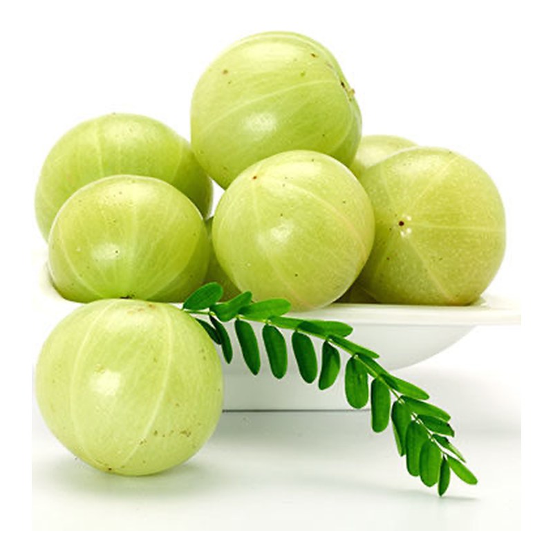 FRISCHE Amla 1 kg (aus Indien)