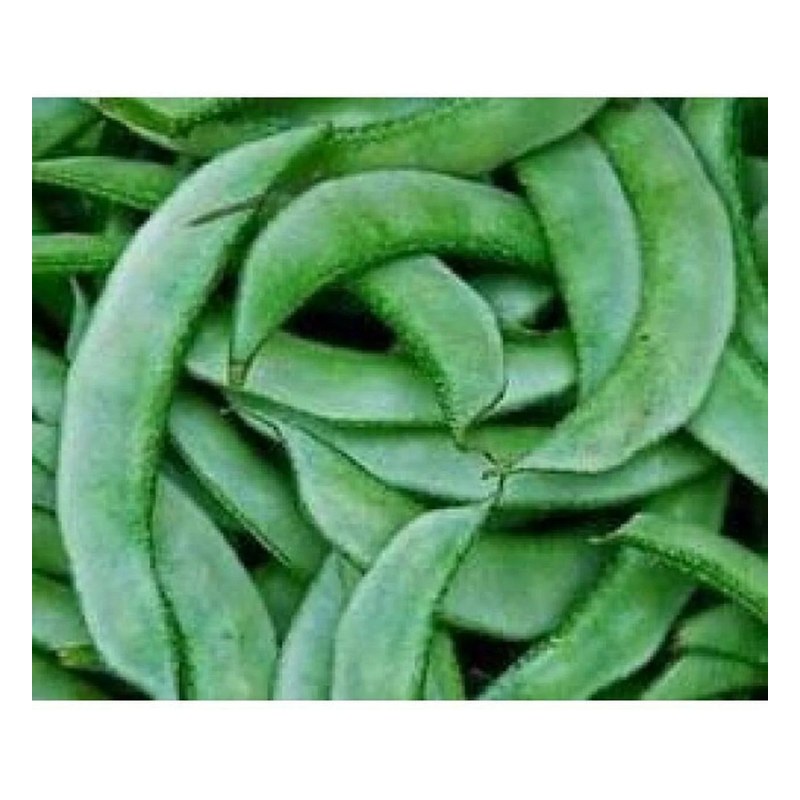 FRISCHE Papri 1 kg (aus Indien)