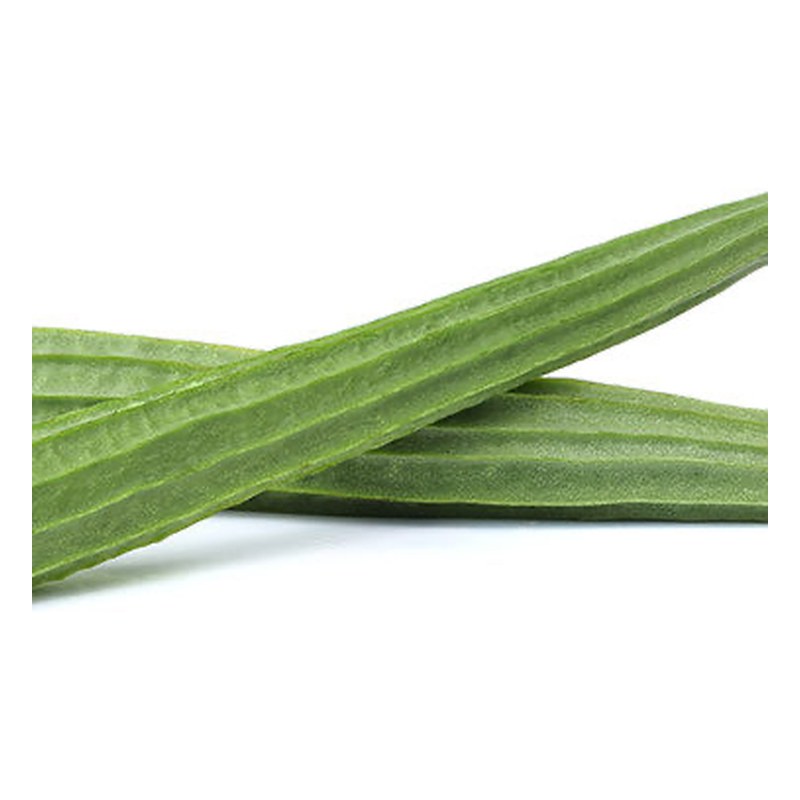 FRISCHE Turia 1 kg (aus Indien)