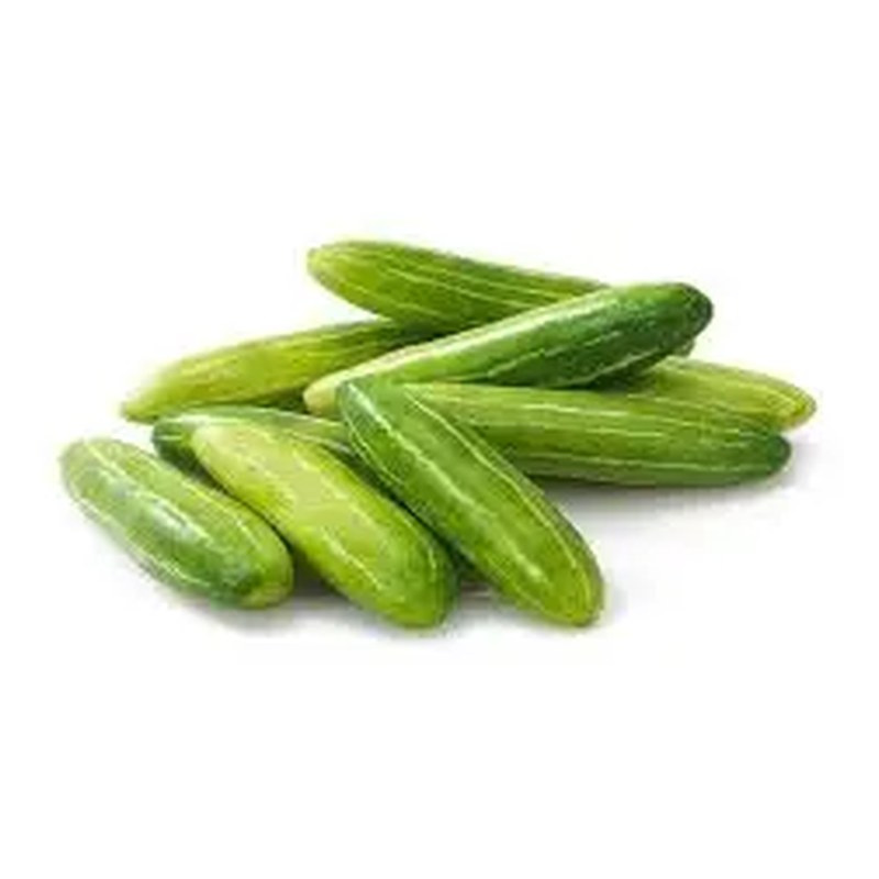 FRISCHE Tindory 1 kg (aus Indien)
