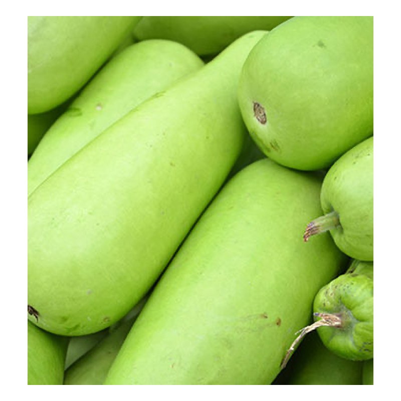 FRISCHE Lauki 1 kg (aus Indien)