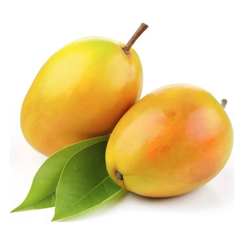 Frische Alphanso Mango 1 kg (aus Indien)