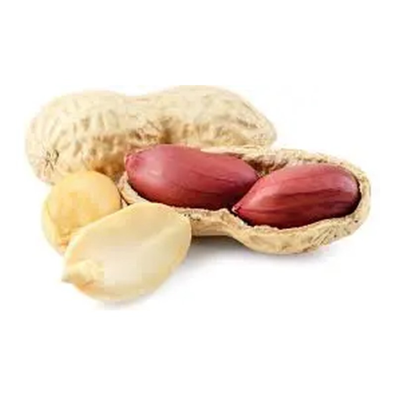 FRISCHE Erdnüsse (Peanuts) 1 kg (aus Indien)