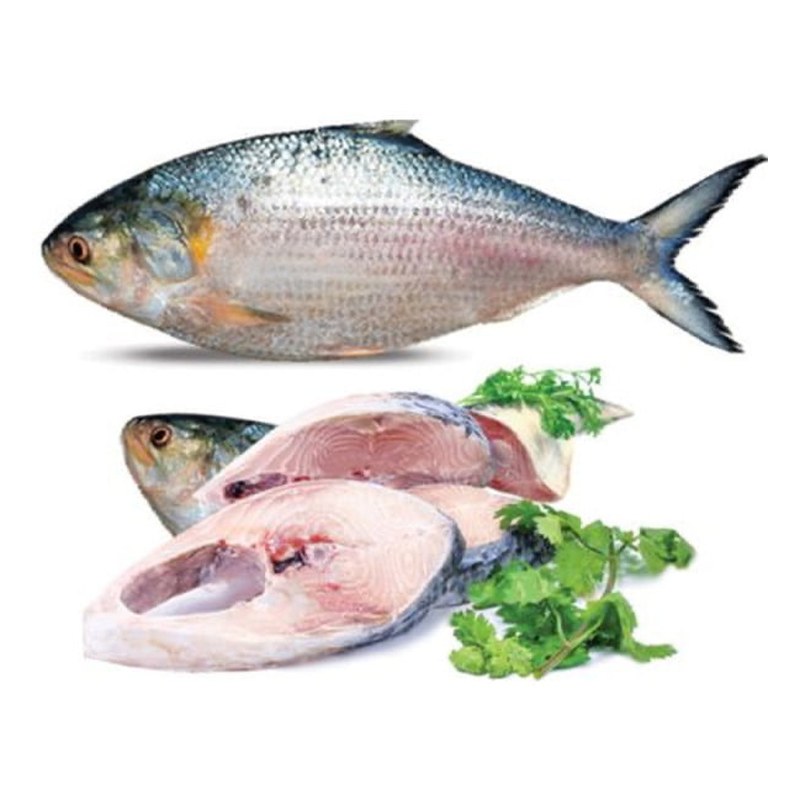 HILSHA (ILSHA) Whole 1 kg