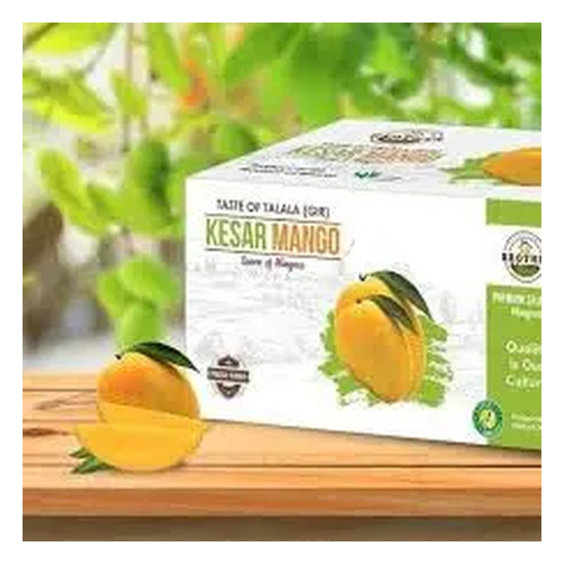 Frische Indian Kesar Mango 1 Small Box (aus Indien)