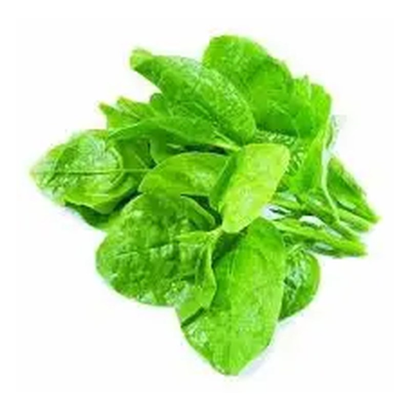 FRISCHE Poi Saag 1 kg (aus Bangladesh)