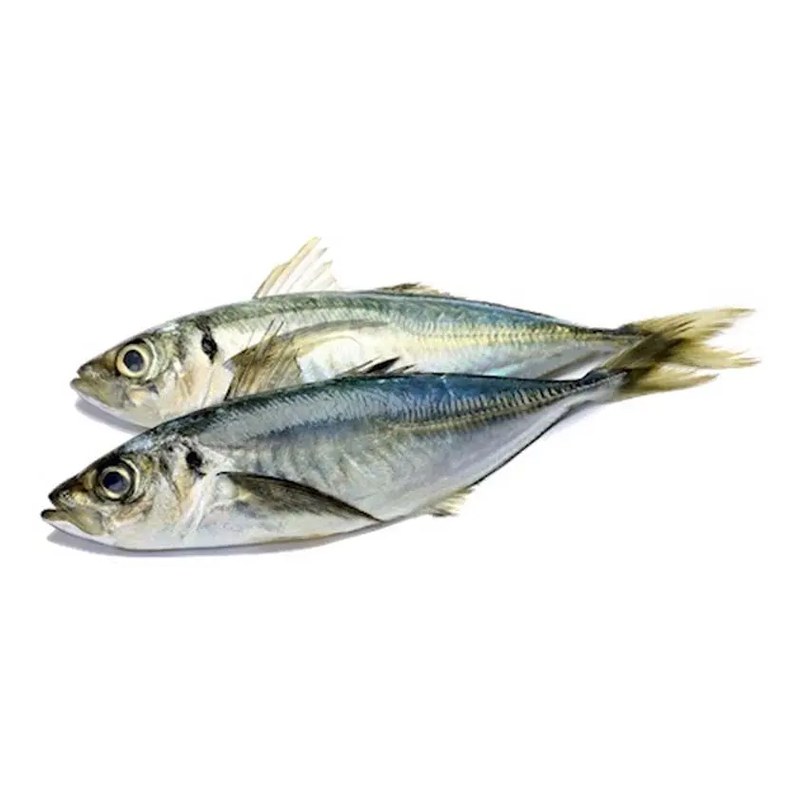 SUGARELLO Whole 500gm/900gm