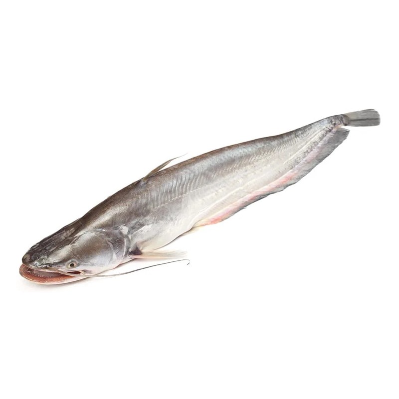 BOAL-G (Wallogo Attu) 1 kg+