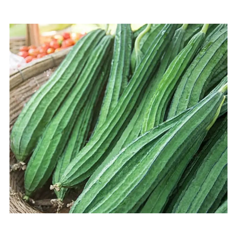 FRISCHE Jhinga 1 kg (aus Bangladesh)