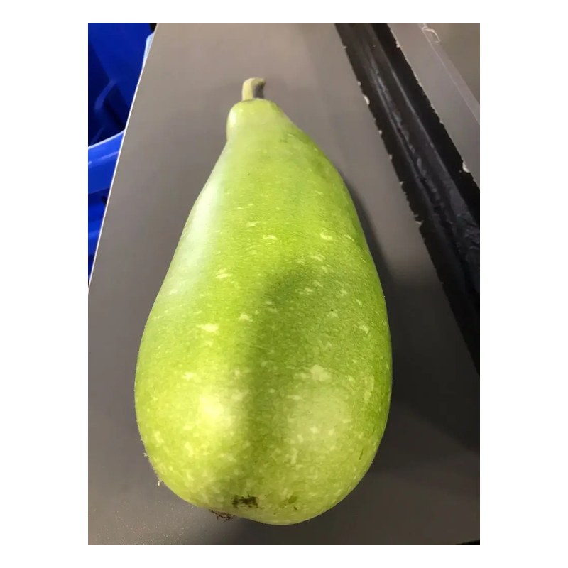 FRISCHE Lau 1 kg (aus Bangladesh)