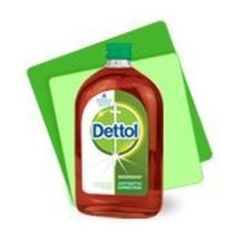 DETTOL Toilet Liquid 250 ml