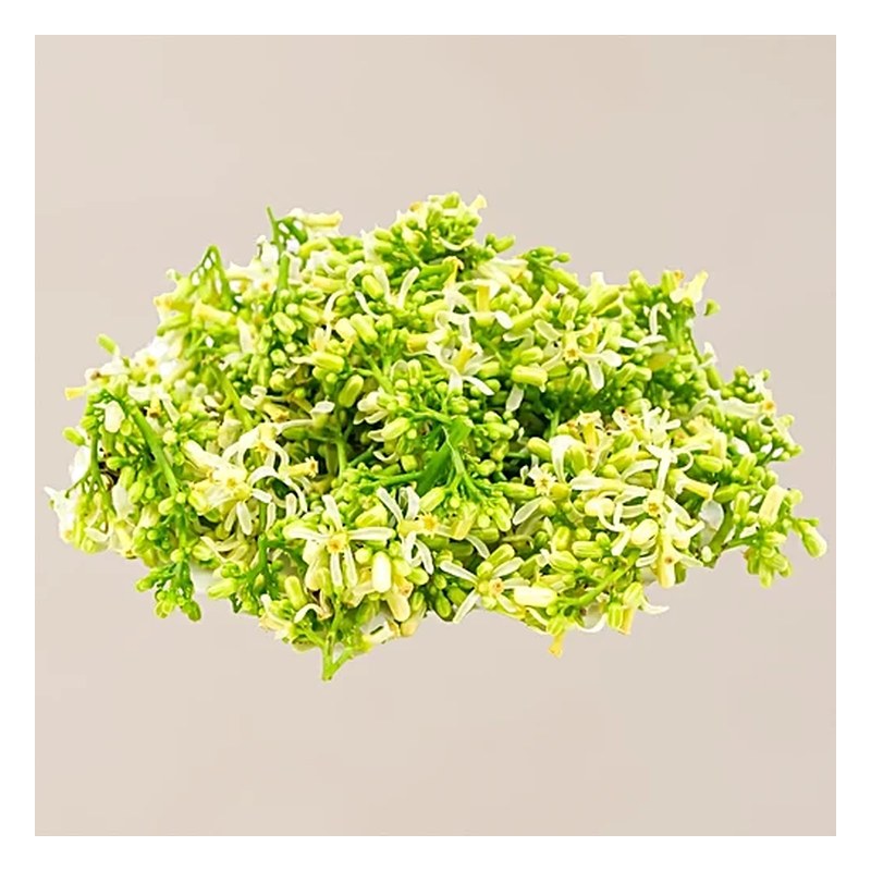 FRISCHE Neem Flower
